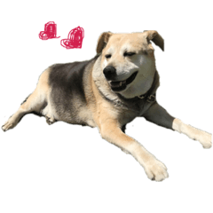 johonkun