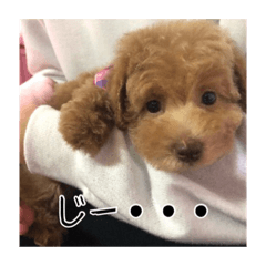AO_20190519213202