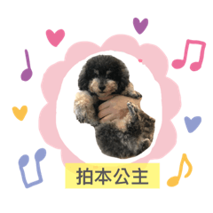 林大布丁公主