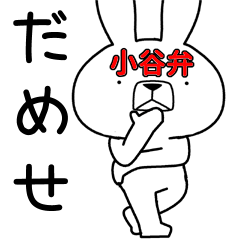 Dialect rabbit [odani2]