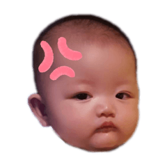 高麗菜包