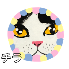 mame_20190517164850