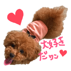 arisa_20190520183848