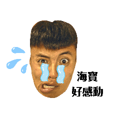 海寶