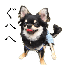 Nozomi_20190520224844