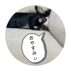 ayumi_20190520164857