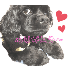 minami_boku
