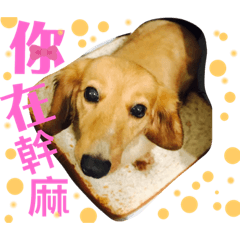 腸腸日常_Mikey醬