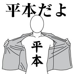 HIRAMOTO REVOLUTION 2