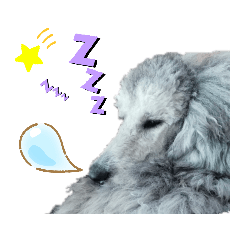 mako_20190520001450