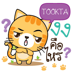 TOOKTA Sesa cat_S e