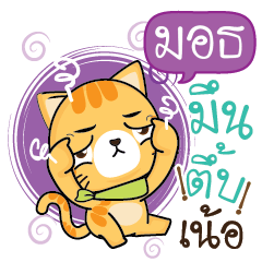 MOTH Sesa cat_N