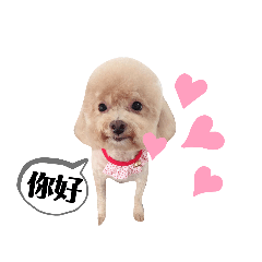 Q寶寶的日常