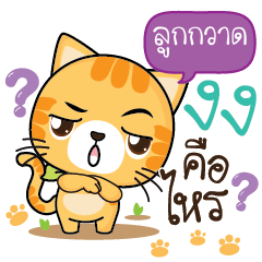 LOOKKWAD Sesa cat_S