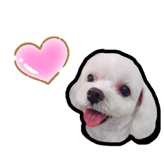 mizuki_20190520230239