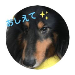 kiyo_20190521084629