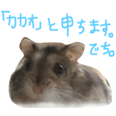 wagayano kawaii_20190521100539