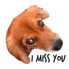 HANNAH_20190524043950