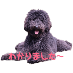 Mu_20190521145125