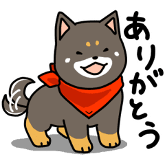 黒柴ラッキー 挨拶編 Line スタンプ Line Store 黒柴ラッキー 挨拶編 Line スタンプ Line Store