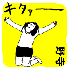 NODERA majiyabai no.7573