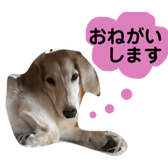 HANA_20190521
