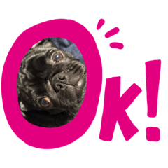 Arisa_20190521214209