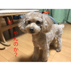 オリガちゃんのスタンプ