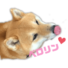 kayo_20190521191314