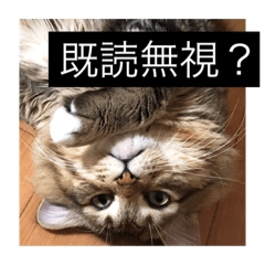 azu_20190521