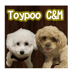 Toypoo C&M