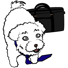 The Small Domestic Dog - Adai (Daily)