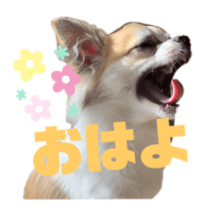 TARO_20190522141117