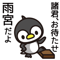 Amamiya Penguin Sticker