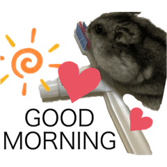 Cute photo stamps of a hamster