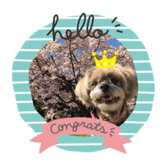 yukari_20190522135405