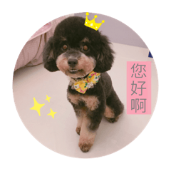 林大布丁公主2