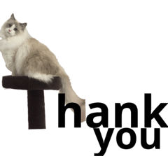 gutaro_20190522124913