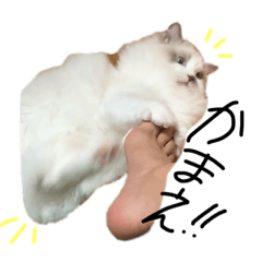 mo_20190522202207