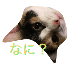 PON_20190519214039