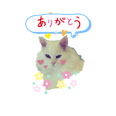 yuuko_20190522223409