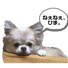 kuritaro-san
