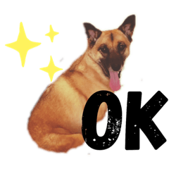 nozomi_20190523164829