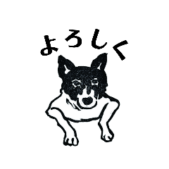 Canaan Dog_20190522203214