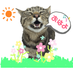 junko_20190523074818