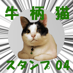 Bicolor cat sticker (series 04)