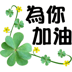 Daily practical-Four-leaf clover