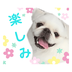 mako_20190523025934
