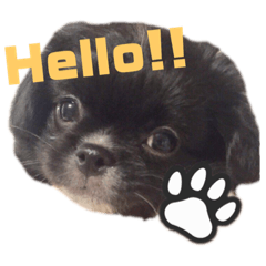 JELLY BEANS_20190523003226