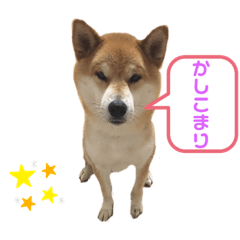 reiko_20190523183301